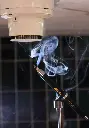 Test Dec2.webp